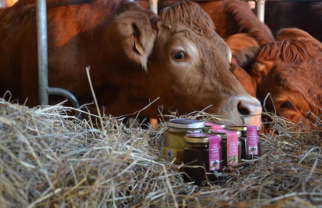 Cascina Galizia - Foto 22