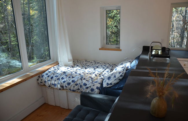 Yukon Black Spruce - Foto 5