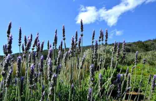 Marathon Eco Stay - Foto 21