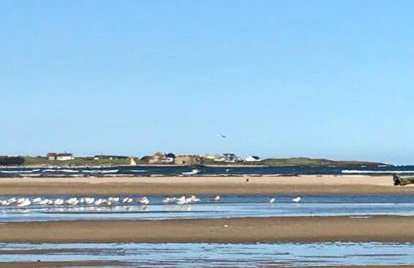 Rockview Beadnell - Perfect Family Retreat - Foto 12