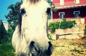 Can plana de baix - Foto 43