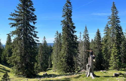 Maison de charme Haut-Jurassienne - Foto 45