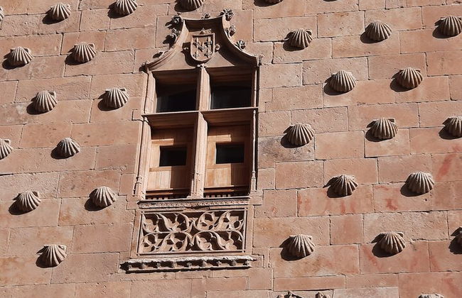 Tour privato speciale per famiglie con bambini a Salamanca - Foto 4