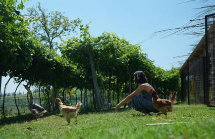 Agriturismo Ai Dossi - Foto 73