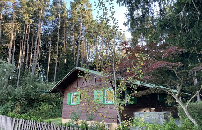 Waldchalet am Eichhof - Foto 1