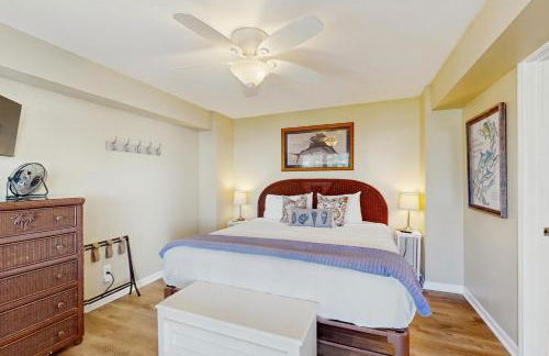 The Lazy Bay - Foto 15