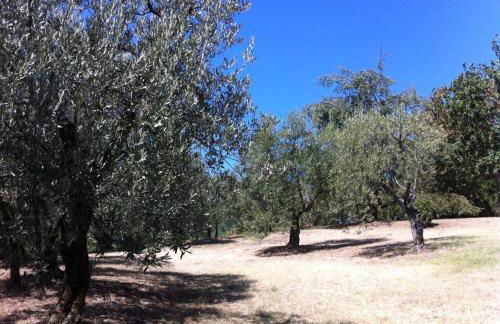 Agriturismo Il Palazzaccio - Foto 43