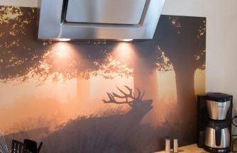 Auszeit-im-Harz Haus 2 Wohnung 1 - Foto 15