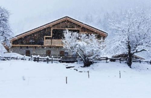L'Écrin de Jana - Family chalet with garden - Foto 62