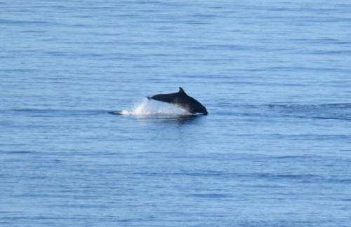 Moray View, Macduff, Aberdeenshire. - Foto 71