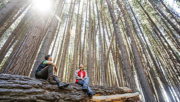 Victoria Island & Myrtle Forest Day Trip - Foto 2