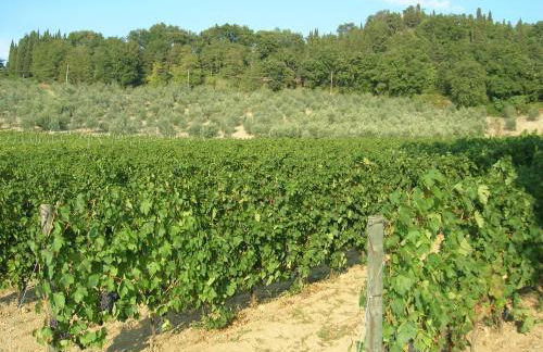 Podere Ghiole - Foto 19