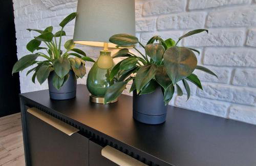 Dom Choczewo Zielony Zakątek - Foto 16