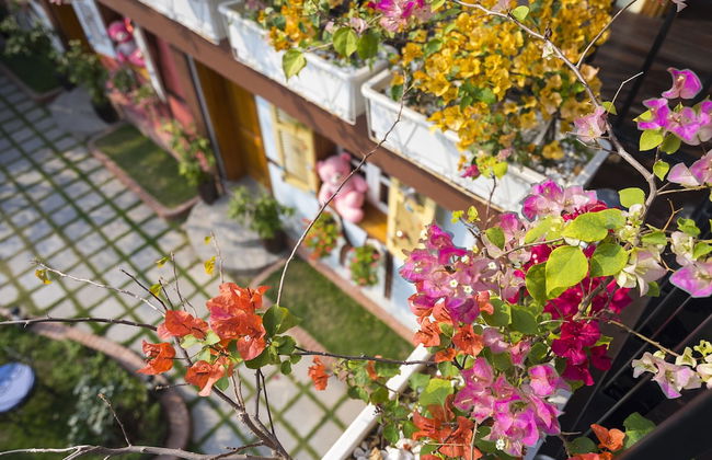 Little Colmar - Homestay & Pottery Studio - Foto 62