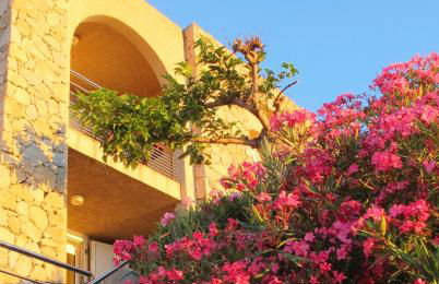 Résidence Marine de Palumbare - Foto 47