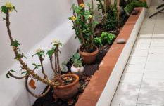 Con i piedi nell'acqua - Foto 10