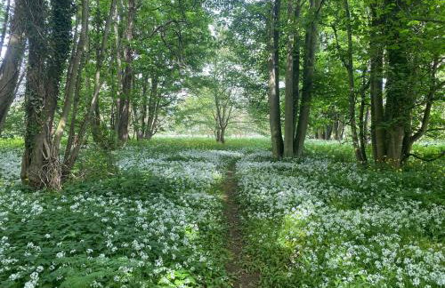 The Millers Cottage - Foto 17