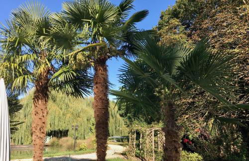 GRANDE VILLA en TOURAINE - Foto 15