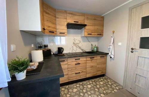 Leśne Zacisze domki letniskowe - Foto 24