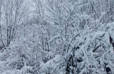 Passione Peonie Apartment - Foto 33