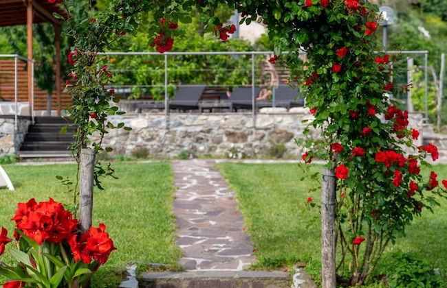 La Vignana - Cinque Terre - Photo 51