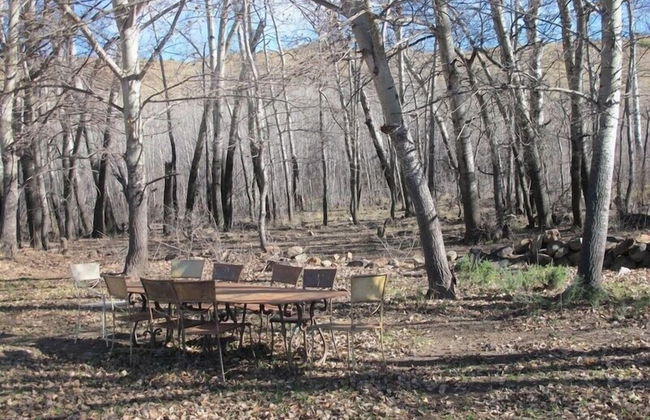 Sneeuberg Nature Reserve - Photo 32