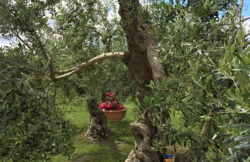 Podere Gabry - Foto 28