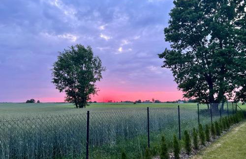 U Progu Lasu - Foto 8