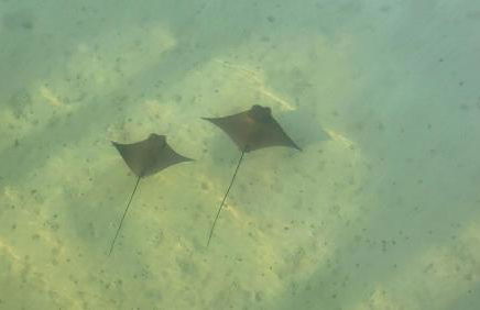 Luxury Beach Cottage With Private Beach - Foto 54