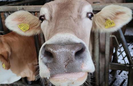 Beim Heiß'n - Photo 22