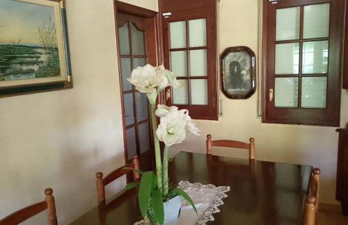 Mas Martí - Photo 8