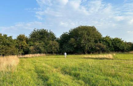 Siedlisko Komory - Foto 18