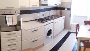 Hanna's House Metro Pyramid - Photo 4, stove