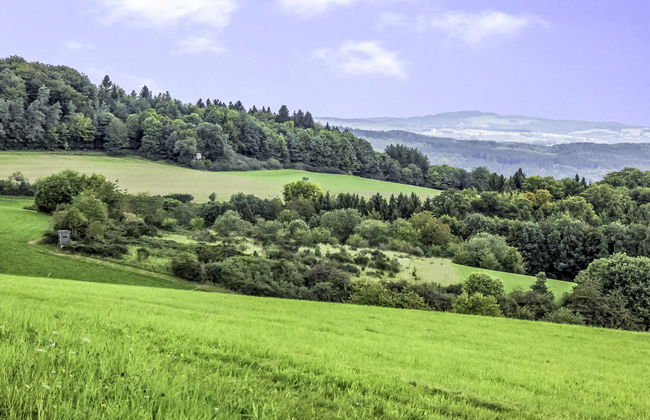 1 bedroom Apartment in Fuchshofen with garden - Photo 30