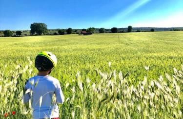Casa vacanze - Castel del Monte - Foto 32