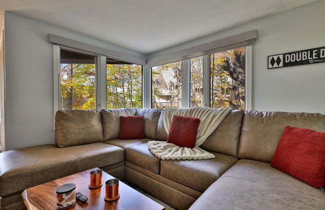 Fall Line Condo C3 1 Bedroom Condo - Photo 10