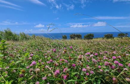 Quinta da Meia Eira - Photo 60