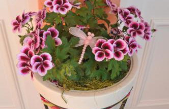 Apartments Rosa - Foto 34