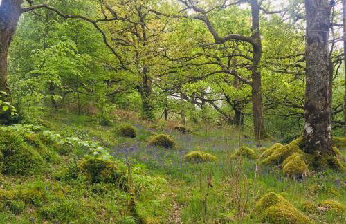 Seal Cove Cabin - Luxury Glamping - Foto 33