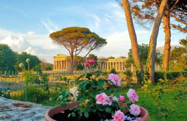 IL GIARDINO DI ATHENA - Foto 5
