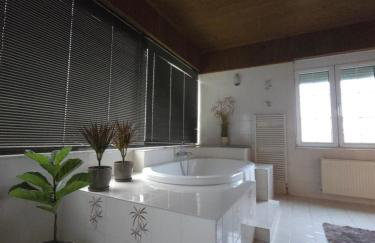 Αρχοντικό Παπανικολάου - Foto 22