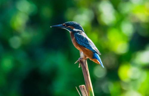 The Hideaway-Perfect Staycation - Foto 52