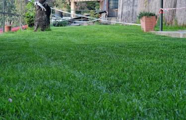 Mella house garden relax - Foto 15