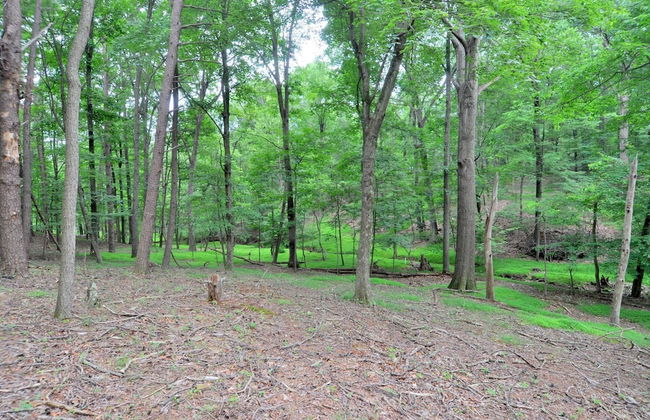 Fox Hollow - Cozy Den With a Hot Tub - Foto 22