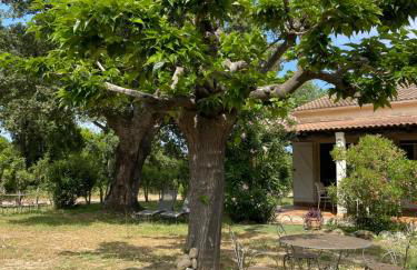 Palauma Plage - Foto 12