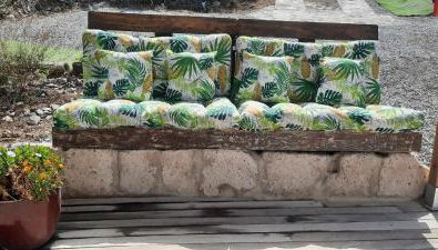 Casa Carmelita - Foto 3, Garden