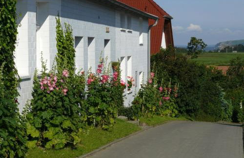 Ferienwohnungen Unter den Linden - Foto 4