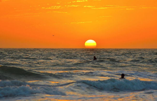 Anna Maria Island Bridge Port Beach Resort - Foto 44