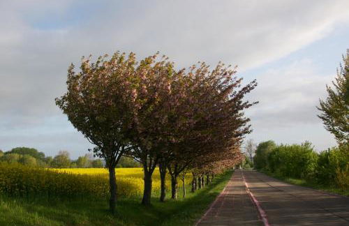 Bungalows Ostseequelle - Foto 18