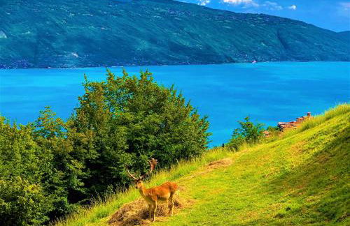 Residence Casa Silvana - Foto 4